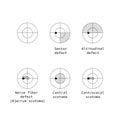 Amsler test grid. Eye scotoma chart. Oculist Vector printable chart retina examination. Grid with dot in centre. Vision control