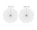 Amsler test grid. Eye scotoma chart. Oculist Vector printable chart retina examination. Grid with dot in centre. Vision control