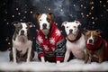 Amstaff dog family wearing ugly Christmas sweaters. Generative AI