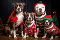 Amstaff dog family wearing ugly Christmas sweaters. Generative AI