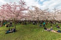Amstelveen japanese garden picnic season