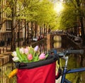 Amsterdam with basket of colorful tulips against canal in Holland