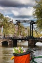 Amsterdam with basket of colorful tulips against old bridge in Holland