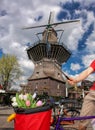 Amsterdam with basket of colorful tulips against old windmill in Holland