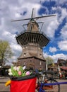 Amsterdam with basket of colorful tulips against old windmill in Holland