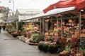 Amsterdam characteristic shops located in the Bloemen market flower market the best place to buy plants and flowers Royalty Free Stock Photo