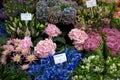 Amsterdam flower market