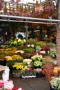 Amsterdam flower market