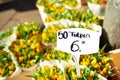 Amsterdam flower market Royalty Free Stock Photo