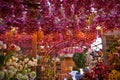 Amsterdam flower market Royalty Free Stock Photo