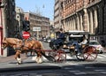 Tourists in Amsterdam, Holland Royalty Free Stock Photo