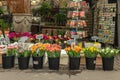 Bloemen Market Amsterdam Netherlands Royalty Free Stock Photo