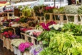 Amsterdam, Netherlands, 10/12/2019: A counter with a variety of beautiful flowers on the market