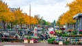 Amsterdam, Netherlands - 15.10.2019: Flowers for sale at a flower market, Amsterdam, The Netherlands Royalty Free Stock Photo