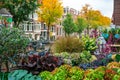 Amsterdam, Netherlands - 15.10.2019: Flowers for sale at a flower market, Amsterdam, The Netherlands