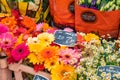 Amsterdam, Netherlands - 15.10.2019: Flowers for sale at a flower market, Amsterdam, The Netherlands Royalty Free Stock Photo