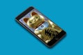 IPhone, Maneki neko, Goldon lucky cat with a colored background,