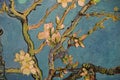 Amsterdam, Netherlands. January 20, 2024. Almond blossom by Vincent van Gogh Royalty Free Stock Photo