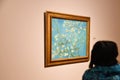 Amsterdam, Netherlands. January 2023. Visitors admire paintings by Vincent van Gogh in Amsterdam. Royalty Free Stock Photo