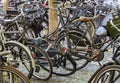 Parked Bikes in Amsterdam Zuidas
