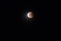Amsterdam, Netherlands - 07-27-2018 Lunar eclipse Royalty Free Stock Photo