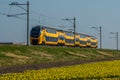 Amsterdam, Netherlands, march 2022. Dutch train in the landscape and in the central station