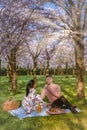 Amsterdam Netherlands, young couple picnic in empty park Amsterdamse Bos Bloesempark Netherlands, men and woman mid age