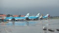 Amsterdam, Schiphol Airport. Many airplanes at the terminal