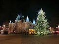 Amsterdam Square and Christmas tree lights