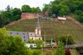 Hillside vineyard near Erlenbach am Main Germany