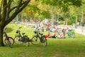 Amsterdam. Vondelpark. Royalty Free Stock Photo