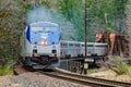 Amtrak Empire Builder passing milepost 1734 near Skykomish