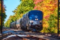 Amtrak train going through forest during fall foliage in Maine Royalty Free Stock Photo