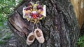 Amulet, talisman of dry flowers, fruits, legumes, nuts, garlic, wild rose on a tree.