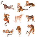 Amur and Bengal tigers in various poses set. Big wild cat animals vector illustration Royalty Free Stock Photo