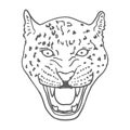 Amur Leopard Roar face or head. Hand drawn Leopard Head animal or predator isolated on white background. Vector Royalty Free Stock Photo