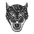 Amur Leopard Roar face or head. Hand drawn Leopard Head animal or predator isolated on white background. Vector Royalty Free Stock Photo