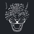 Amur Leopard Roar face or head. Hand drawn Leopard Head animal or predator isolated on white background. Vector Royalty Free Stock Photo