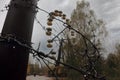 Amusement park in the abandoned city of Pripyat