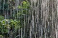 Amusement park. Attraction Tropical downpour. Landscape Royalty Free Stock Photo