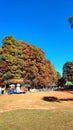 Amusement Park Nature Sky Tree