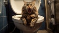 Amusing cat in toilet, quirky feline antics and curiosity. Royalty Free Stock Photo