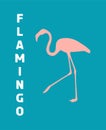 Amusing flamingo with flamingo text in vertical, funny quote and animal concept. Creative artwork with deep color. Poster for