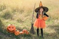 Amusing a girl in a big hat and an orange dress in the image of a witch is laughing while holding a small pumpkin Royalty Free Stock Photo