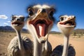 Amusing Ostrich selfie funny head. Generate Ai Royalty Free Stock Photo