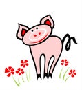 Amusing pig