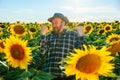 amusing pretty senior bearded happy farmer in the sunflower field at sunset Royalty Free Stock Photo