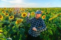 amusing pretty senior bearded happy farmer in the sunflower field at sunset Royalty Free Stock Photo