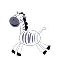 Amusing zebra on a white background