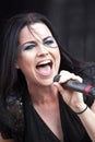 Amy Lee Royalty Free Stock Photo